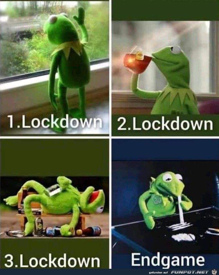 Die Phasen des Lockdowns
