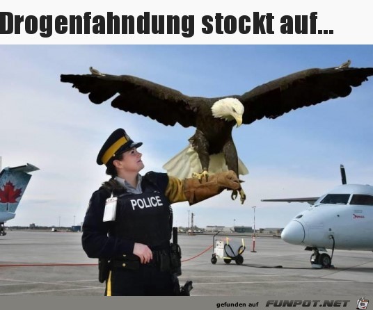 Drogenfahndung stockt auf