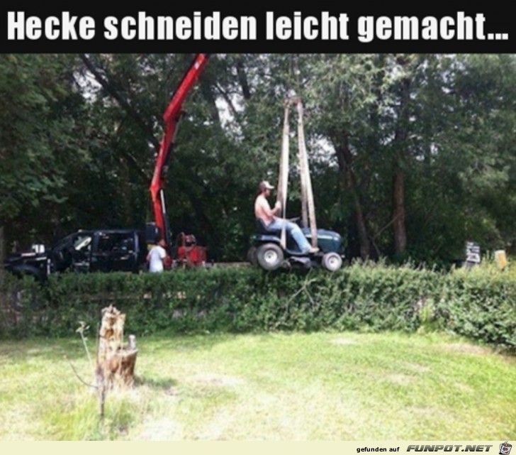 Hecke schneiden mal anders