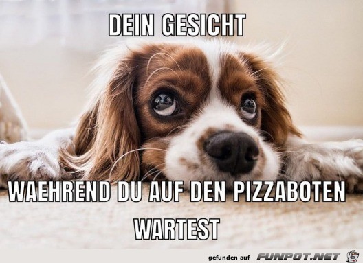 Wenn ich auf den Pizzaboten warte