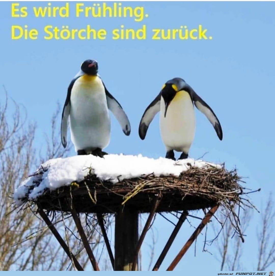 Fruehling