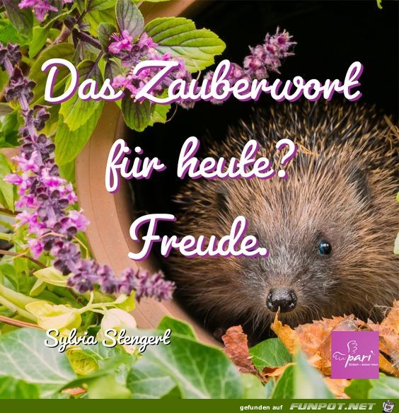 Das Zauberwort fuer heute