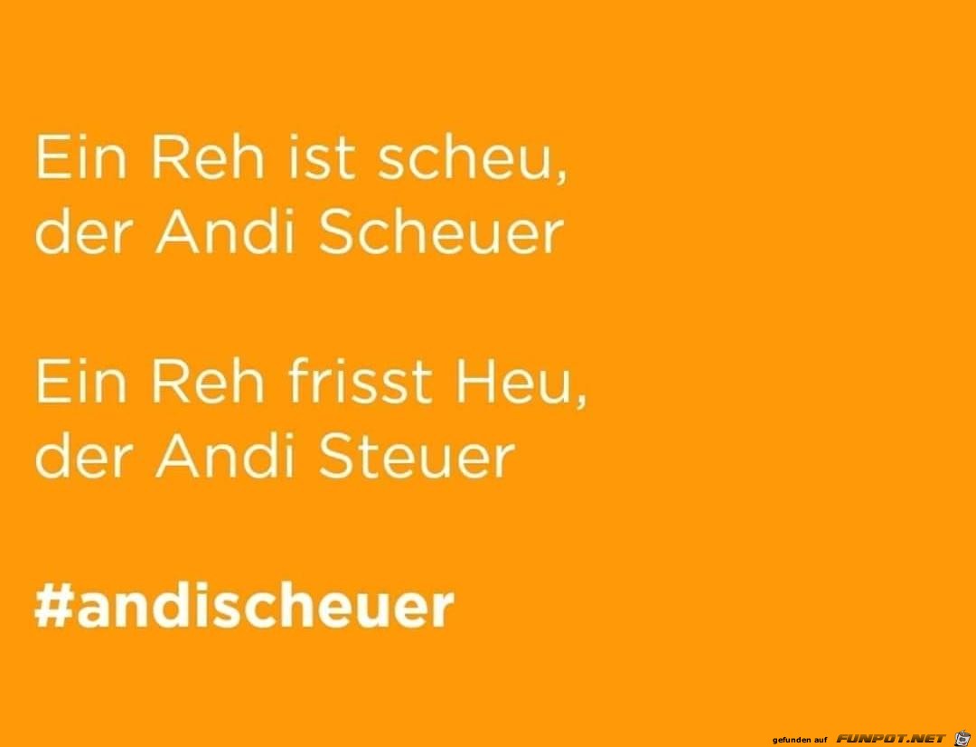 Andi Scheuer Andi Scheuer