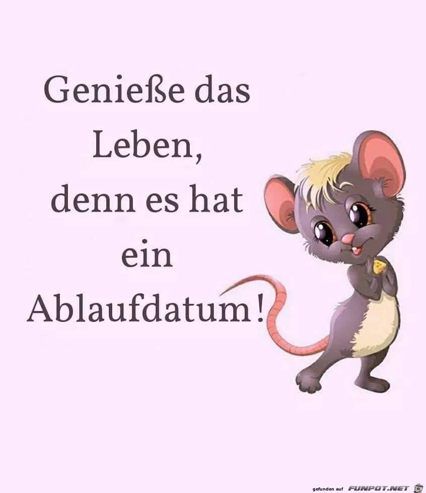 Ablaufdatum