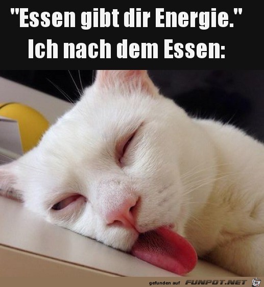 Die Sache mit der Energie