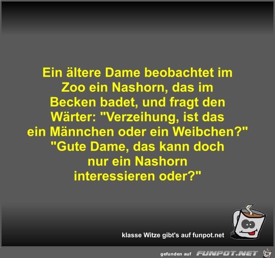 Ein ltere Dame beobachtet im Zoo ein Nashorn