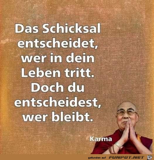 Das Schicksal