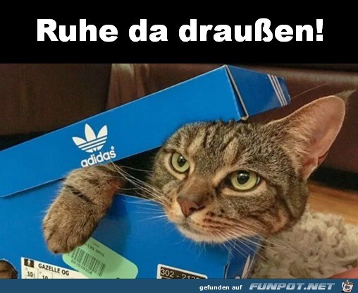 Ruhe da drauen