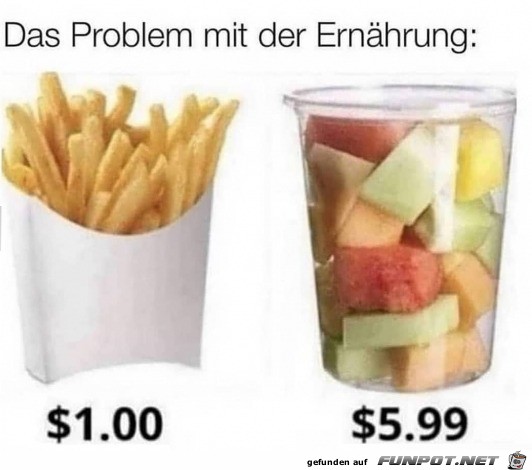 Das Ernhrungsproblem