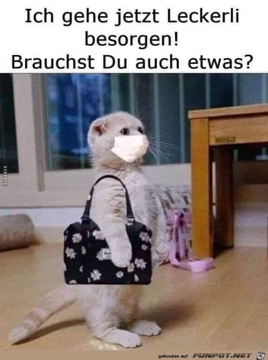 Gehe jetzt Leckerli besorgen