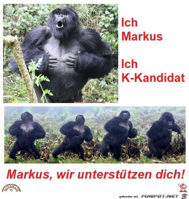 Markus und die Untersttzer