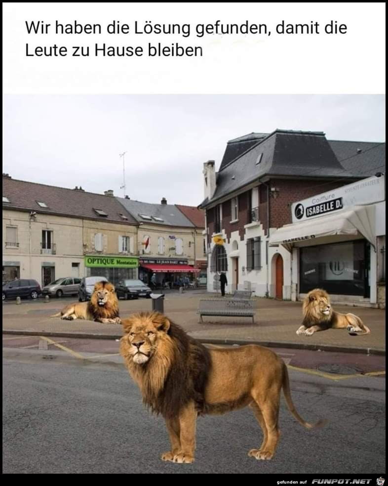 die Loesung