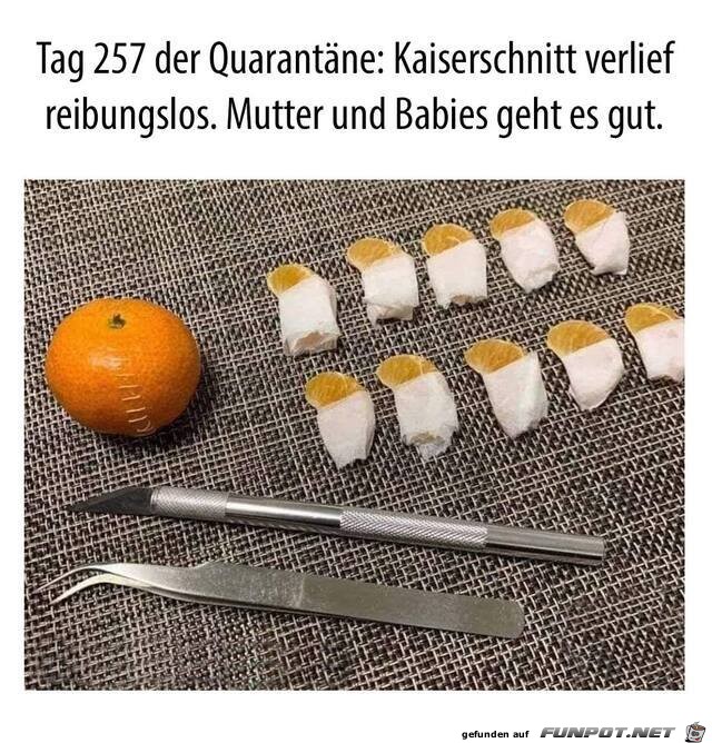 witzige Bilder aus verschiedenen Blogs