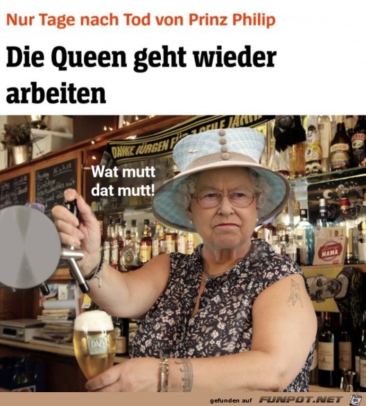 Queen arbeitet wieder