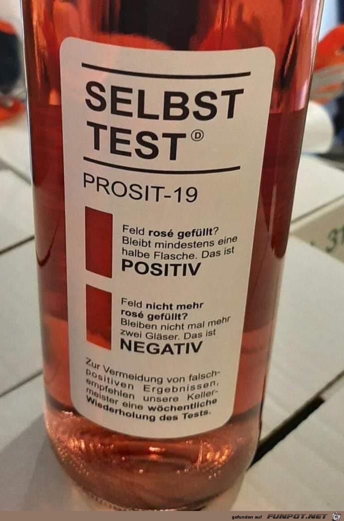Selbsttest