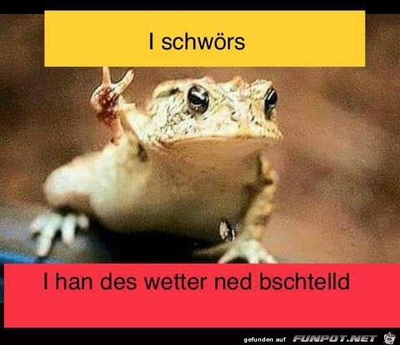 Ich hab das Wetter nicht bestellt