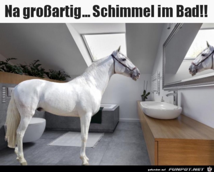 Na groartig.... Schimmel im Bad !!!