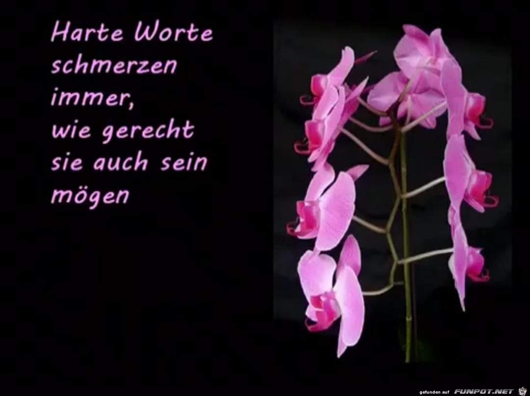 Harte Worte Schmerzen