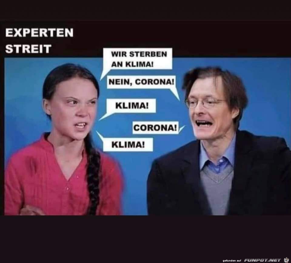 Experten streit