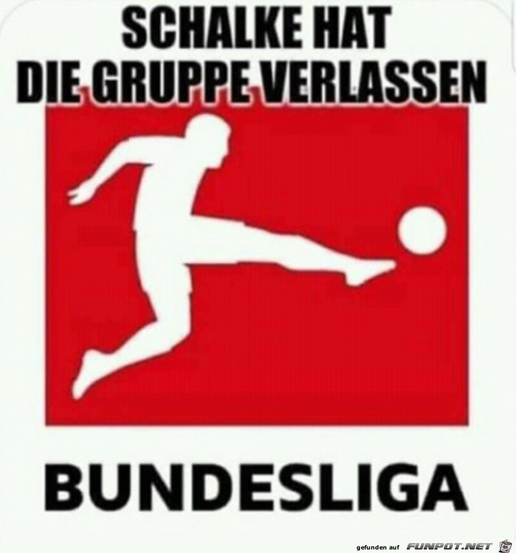 Schalke hat die Gruppe verlassen