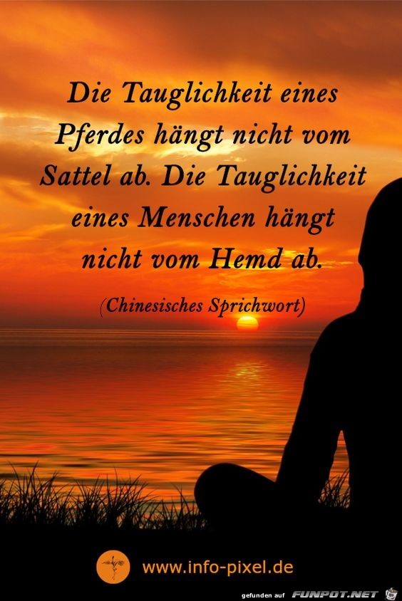 Die Tauglichkeit eines Pferdes Die Tauglichkeit eines Pferdes