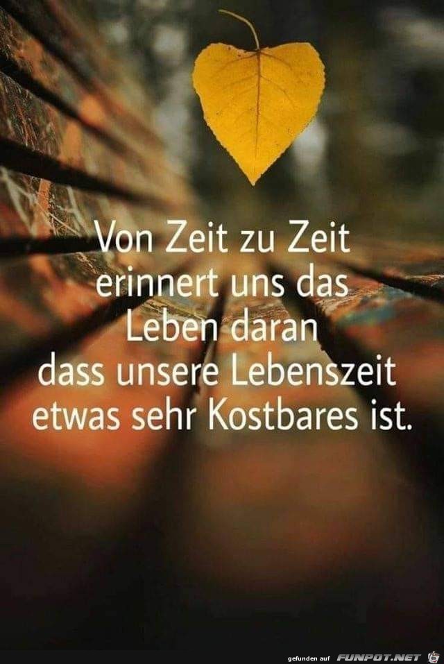 Von Zeit zu Zeit