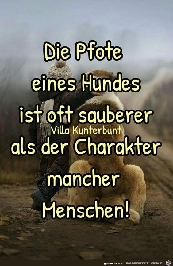 Die Pfote eines Hundes