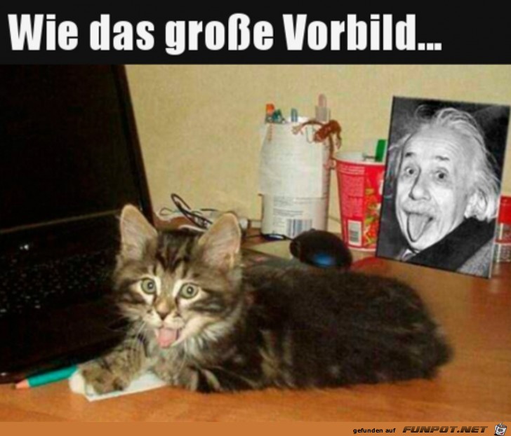 Wie das Vorbild