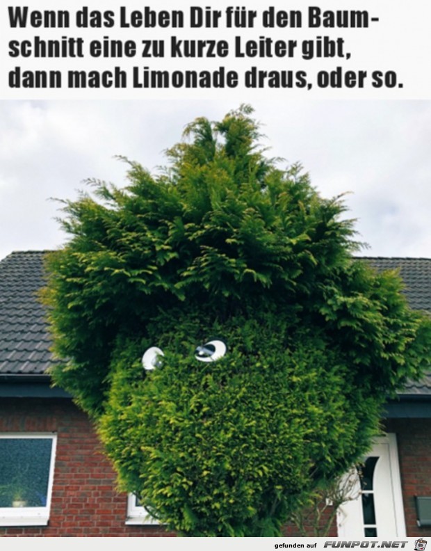 Lustiger Baum