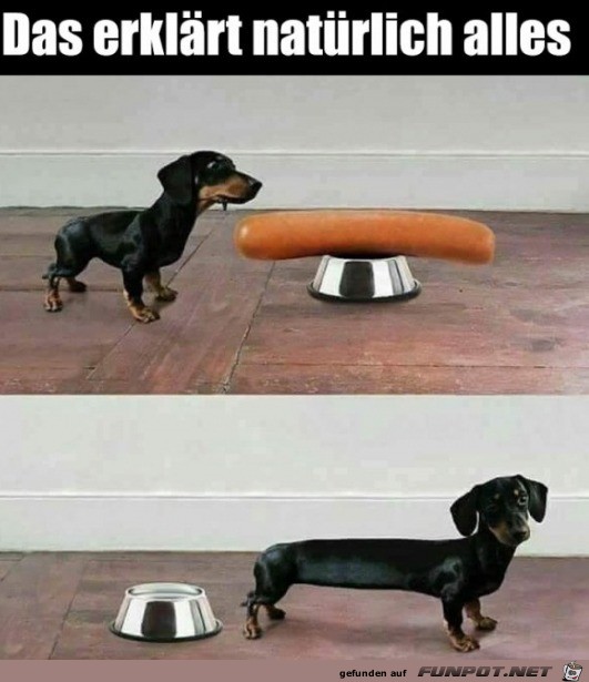 Der Wiener