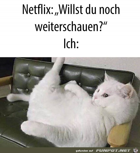 Netflix weiterschauen