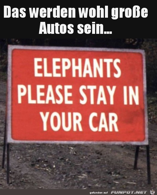 Groes Auto fr Elefanten