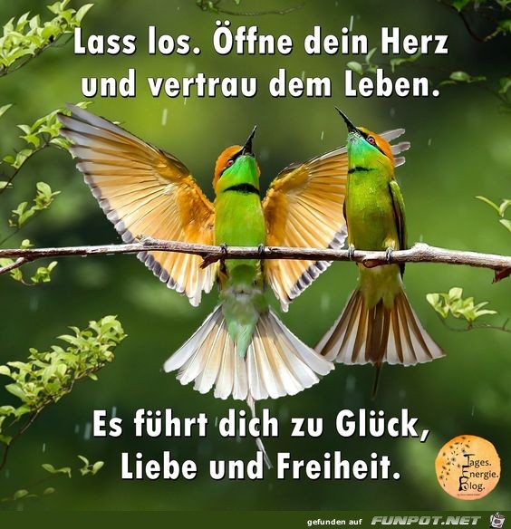 Lass los oeffne dein Herz