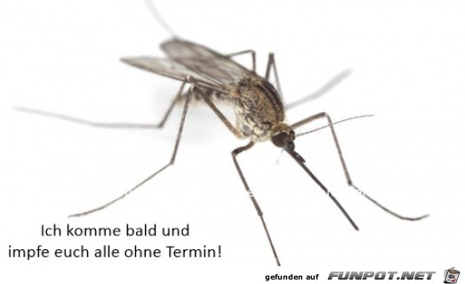 Ich impfe euch ohne Termin