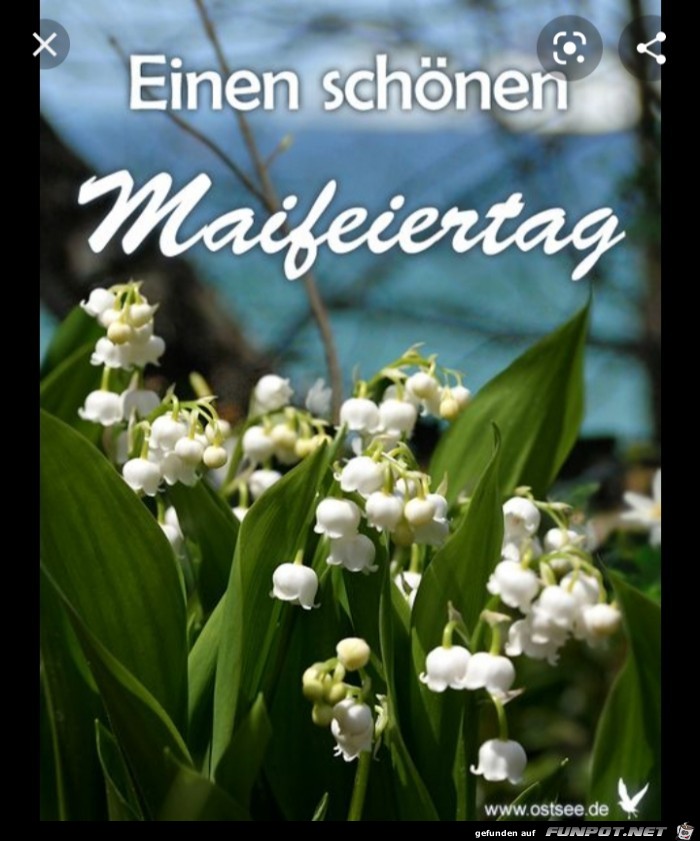 Maifeiertag