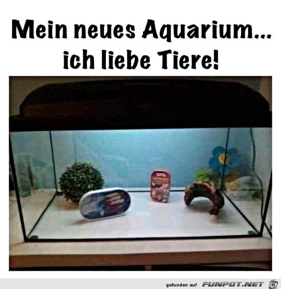 Tolles Aquarium