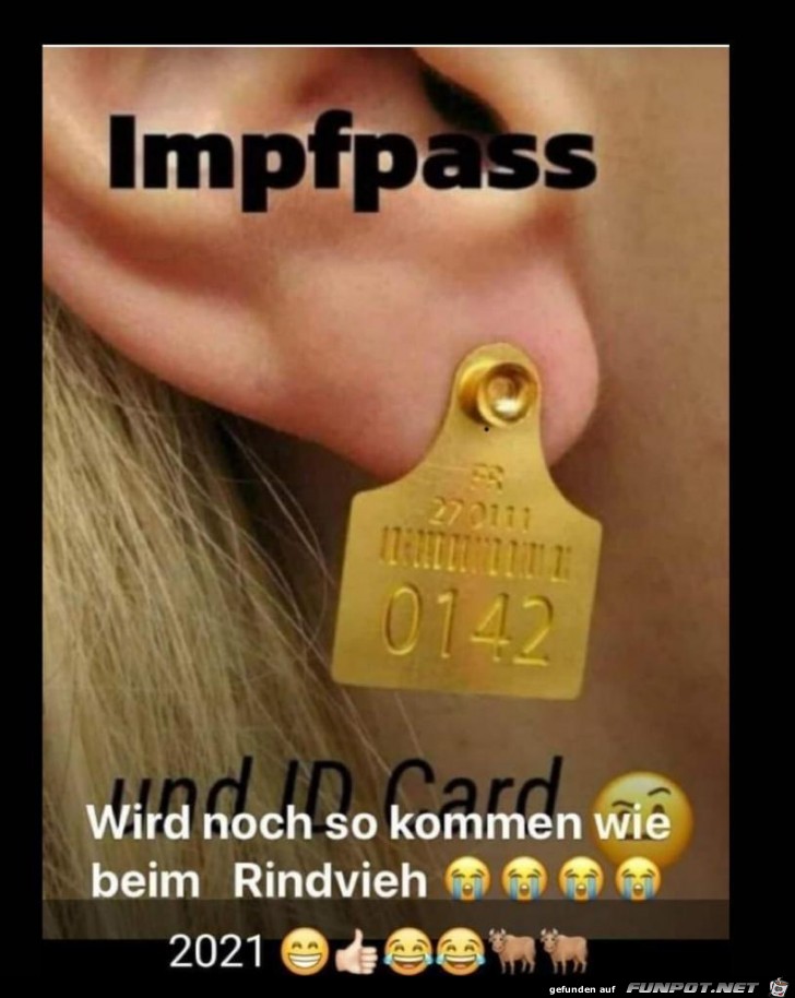 Der Impfpass