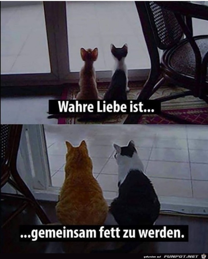 Wahre Liebe ist