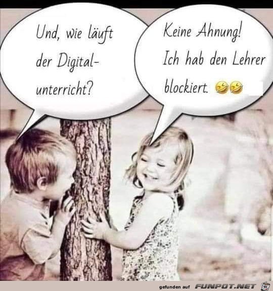 Wie luft der Online-Unterricht?