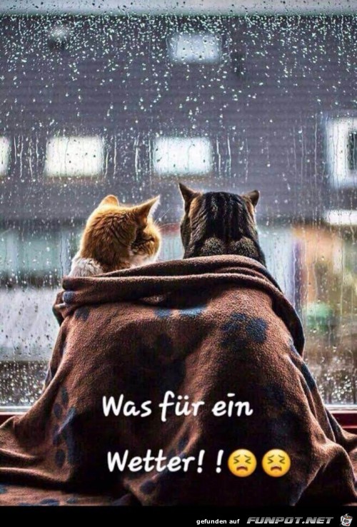 Wetter