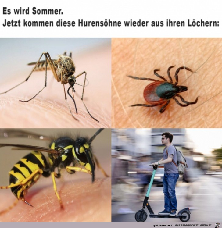 Jetzt kommen sie wieder raus