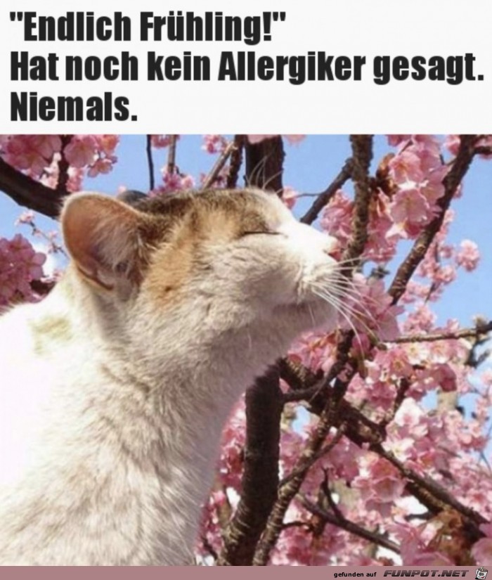 Nichts fr Allergiker