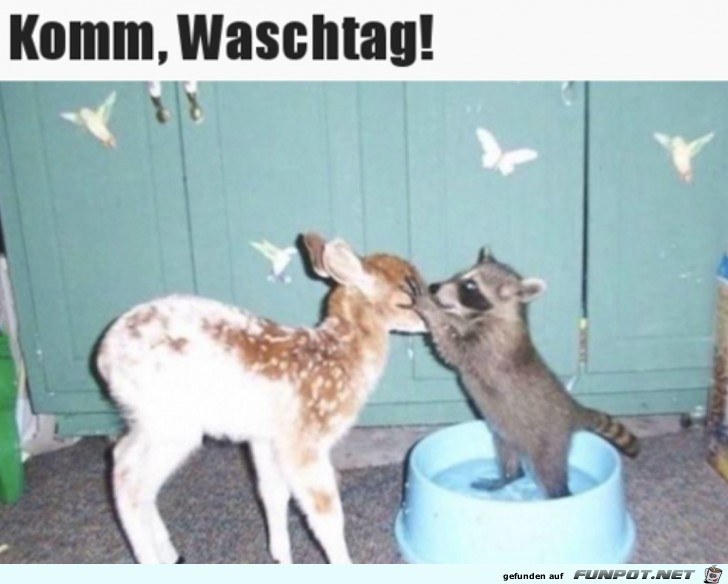 Heute ist Waschtag