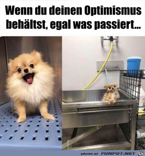 Immer positiv bleiben