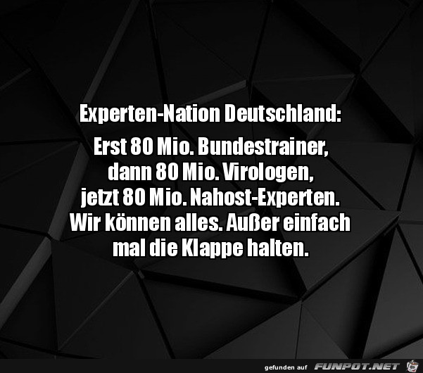 Lauter Experten in Deutschland