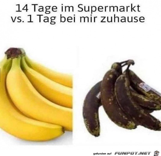 Bse Bananen