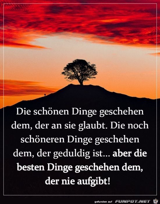 Schoene Dinge geschehen