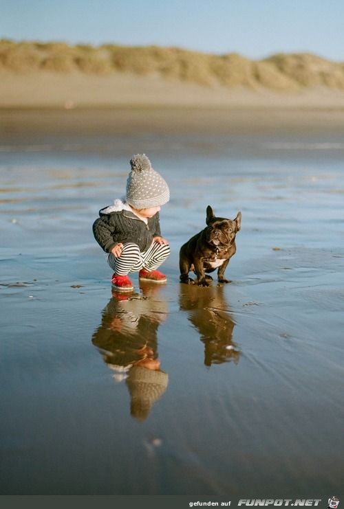 Gefaellt es dir auch im Wasser