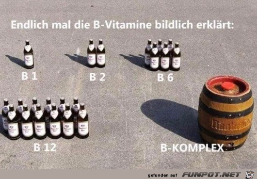Die B-Vitamine