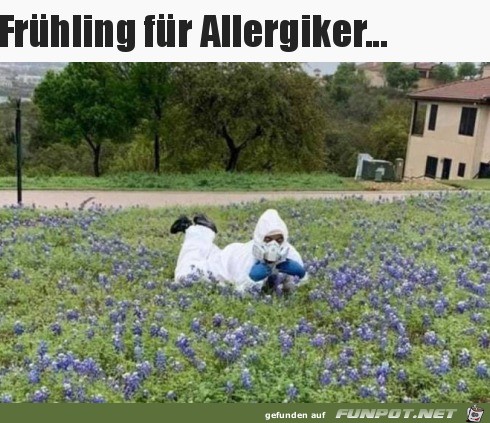 Frhling fr Allergiker